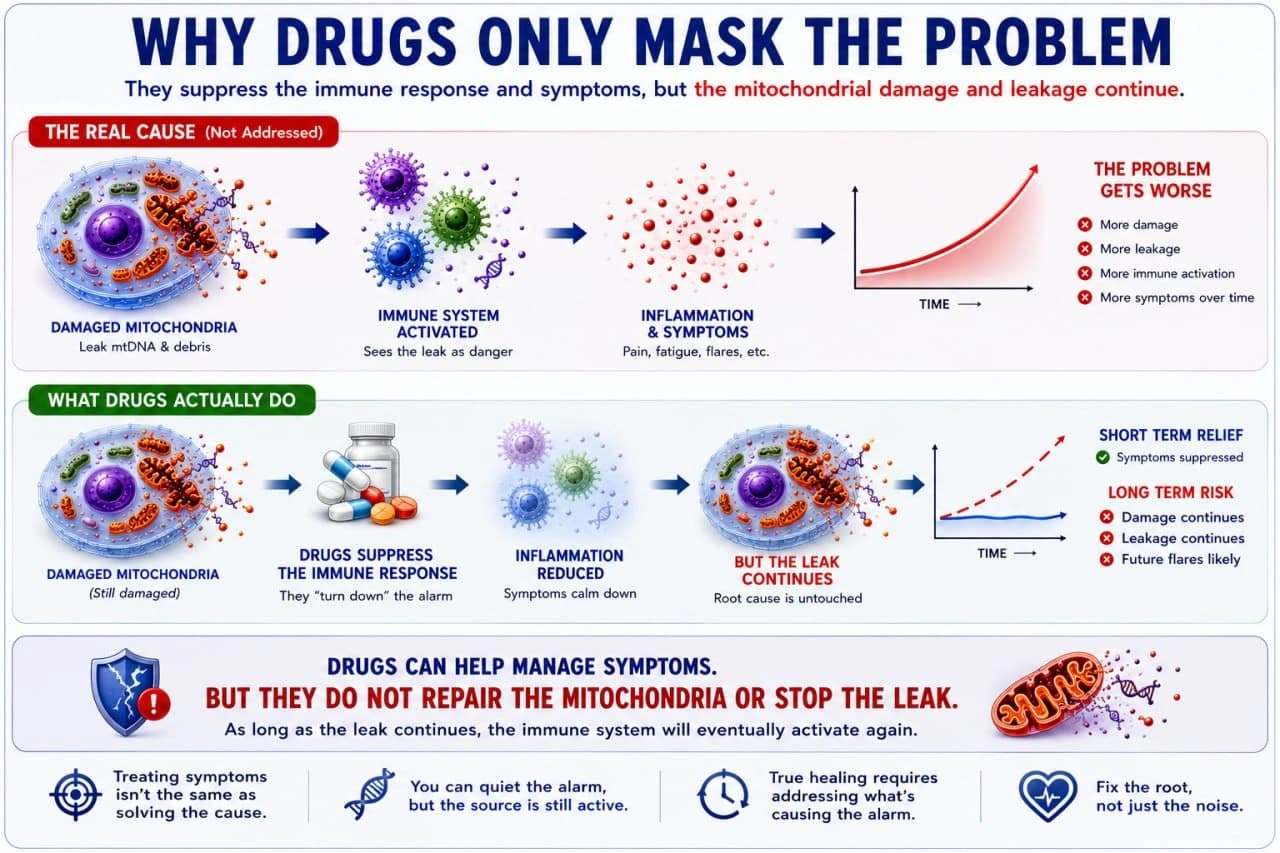 Diagram explaining why drugs only mask the problem: they suppress immune response and symptoms while mitochondrial damage and leakage continue.
